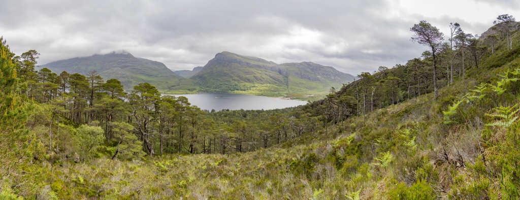 Wanderung auf dem Coille Na Glas Leitir / Beinn Eighe Mountain Trail vom Ufer des Loch Maree im Beinn Eighe /Torridon National Nature Reserve - hier haben sich Teile des ursprünglichen Caledonian Pinewood Forests erhalten, Torridon Mountains, Schottland, Juni 2024.