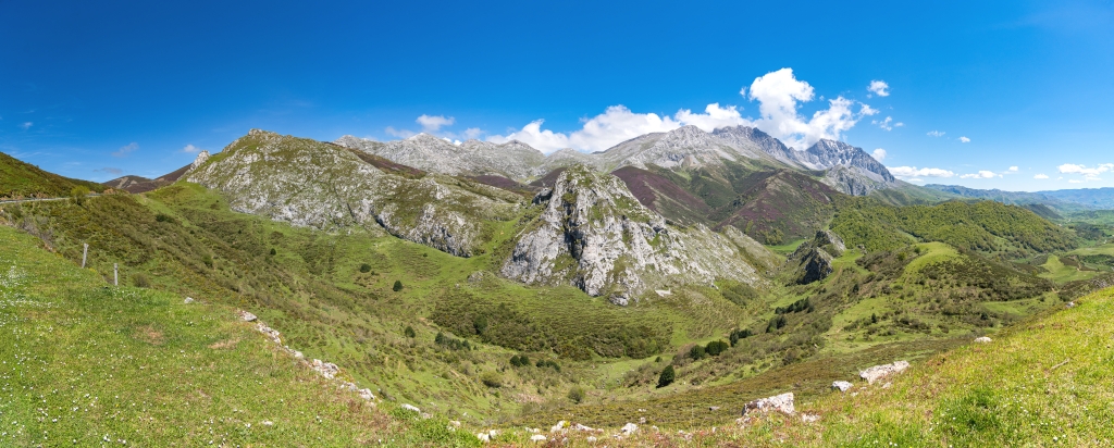 Am Mirador del Puerto de Ventana auf einer H&ouml;he von etwa 1587 Metern an der Grenze zwischen Leon und Asturien f&auml;rbt bl&uuml;hendes Heidekraut die Bergh&auml;nge violett, Nordspanien, Mai 2025.